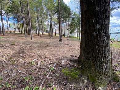 800 Corley Ln, Oxford, MS 38655 - photo 6