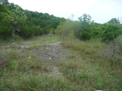 Tbd Ramona Ln, Ruth B Rural Township, MO 65686 - photo 2
