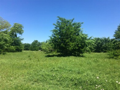 TBD County Road 801c, Cleburne, TX - photo 3