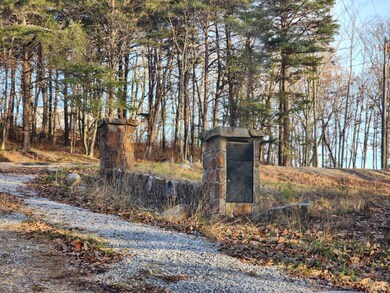 21766 Highway 157, Menlo, GA 30731 - photo 2