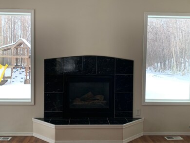 Gas Fire Place