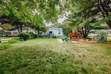 Backyard Overview