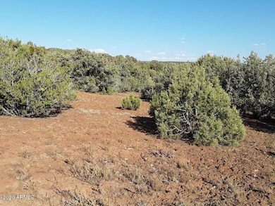 20200818045906268298000000-o