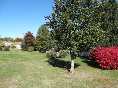 4109 Rabbit Run, Nixa, MO 65714 - photo 7