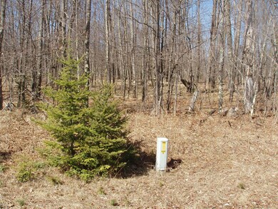 4th Add. Margaret Ln unit Lot 14, Park Falls, WI 54552 - photo 3