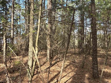 3200 E Mountain Rd, Bee Branch, AR 72013 - photo 6