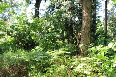 1018 Silver Springs Way, Stanwood, WA 98292 - photo 6