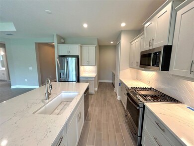 2564 Star Apple Way, Sarasota, FL 34240 - photo 6