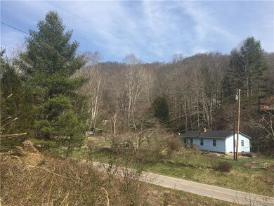 631 Roland Branch Rd, Burnsville, NC 28714 - photo 2