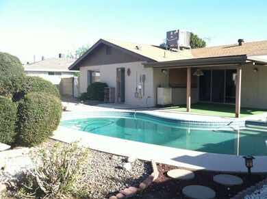 Pool & Patio