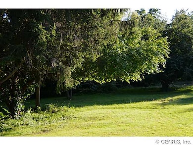 Yard extra lot included 45 x 248