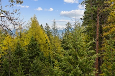Privacy and seclusion at 463 and 465 Deer Creek Road in Lakeside, Montana!