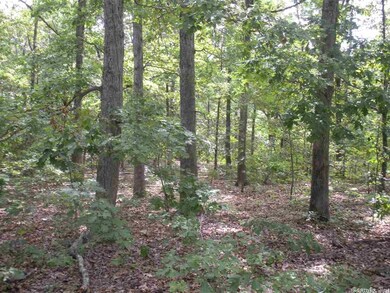 0000 Cave Creek Rd Rd, Hardy, AR 72542 - photo 5