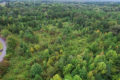 Michigan City Land-8