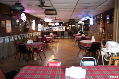 118 S Main St, Virginia, IL 62691 - photo 3