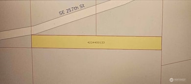 12 353rd Ave SE, Ravensdale, WA 98051 - photo 4