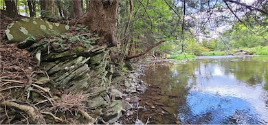 0 Lafayette Rd, Groton, NY 13073 - photo 2