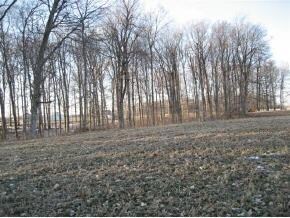 0 Haskamp Rd, Oldenburg, IN 47036 - photo 2