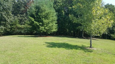 Summer Front Yard