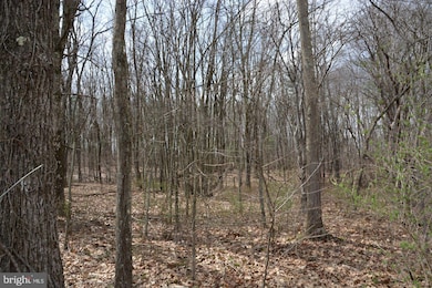 0 Akers Rd unit PABD2002772, Clearville, PA 15535 - photo 3