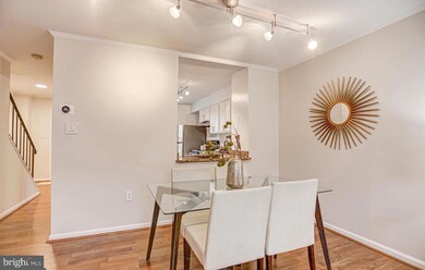 927 S Rolfe St unit 2, Arlington, VA 22204 - photo 6