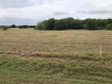 5036 E Horseshoe Dr, Whitney, TX 76692 - photo 2