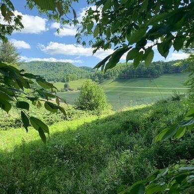 0000 Phipps Creek Rd, Burnsville, NC 28714 - photo 7