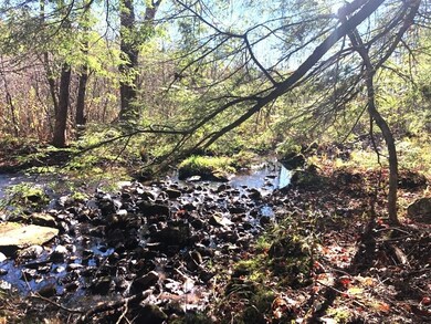 0 Britton Rd unit 5-364-4-L5 4955923, Claremont, NH 03743 - photo 6