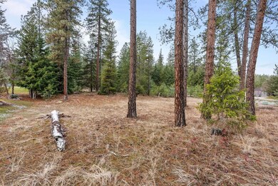 102 Birdie Trail, Chewelah, WA 99109 - photo 7