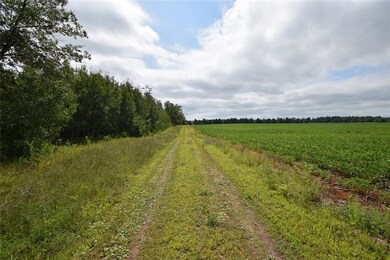 6701 County Road C, Oakland, WI 54830 - photo 6