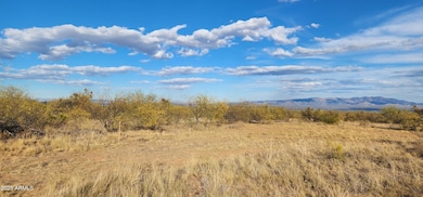 TBD S Stickler Ln unit A, Sierra Vista Southeast, AZ 85615 - photo 5