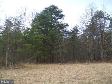 0 Our Ln unit 1000140256, Points, WV 25437 - photo 3