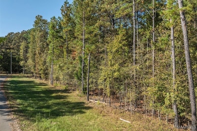 000 Randall Rd, Cecil, AL 36013 - photo 4