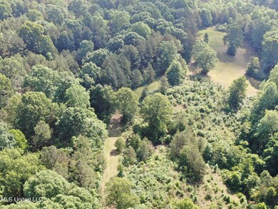 DJI_0558