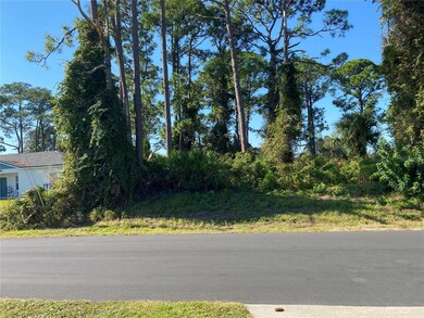 2512 Fern Palm Dr, Edgewater, FL 32141 - photo 3