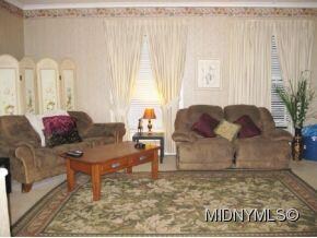 Living room with many windows