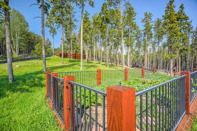 8641 S Warhawk Rd, Conifer, CO 80433 - photo 6