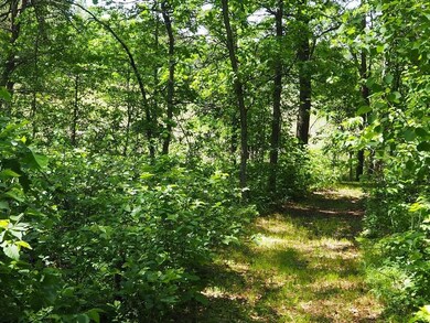 XXX Minerva Dam Rd, Danbury, WI 54830 - photo 2