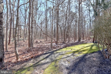 4702B Fradswell Ct unit 4702, Mount Laurel, NJ 08054 - photo 2