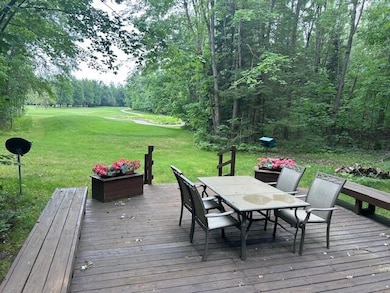 24919 E Riverside Dr, Hillman, MI 49746 - photo 4