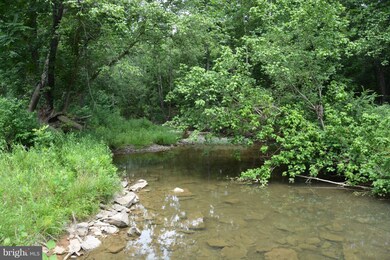 157 Hodges Ln, Winchester, VA 22603 - photo 4