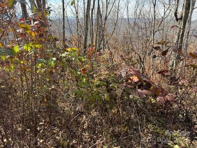 50 Scenic Wolf Ridge Rd, Mars Hill, NC 28754 - photo 5