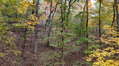 image00011