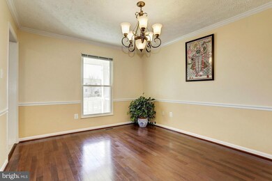 7 Saddle Creek Ct, Burtonsville, MD 20866 - photo 5