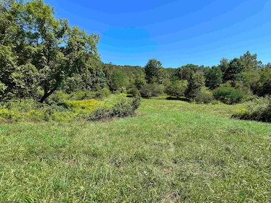 Lot 10 Alpenglow Ridge Dr, Dryfork, WV 26260 - photo 4