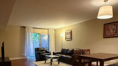 6961 N Oakley Ave unit 206, Chicago, IL 60645 - photo 5