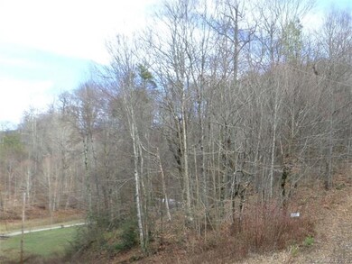 Wooded lots with wide gravel road frontage - ready