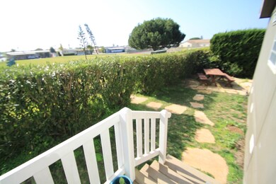 Backyard1
