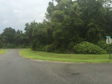 0 Cross Cut Trail unit 271024, Crawfordville, FL 32327 - photo 3