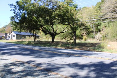 1411 Martin Luther King jr Blvd, Siler City, NC 27344 - photo 4